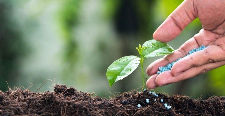 Uso de fertilizantes na agricultura