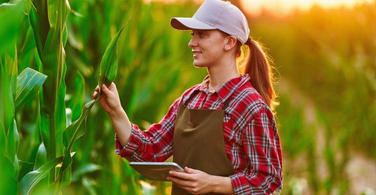 HELM do Brasil lança aplicativo de ferramenta de agricultura de precisão