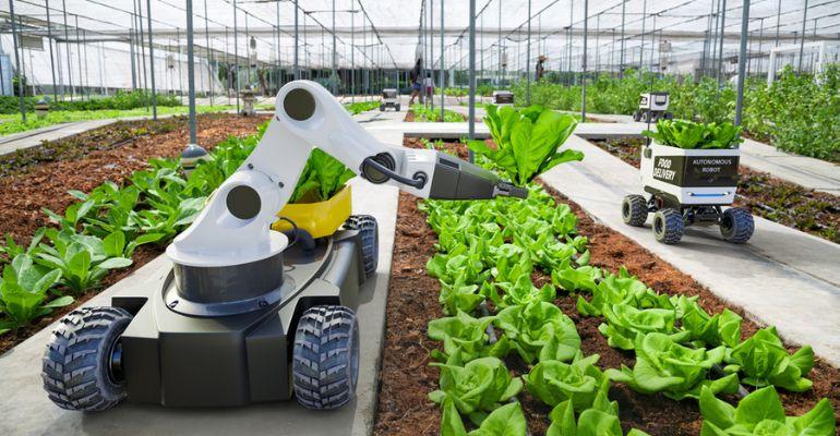 Robótica na agricultura