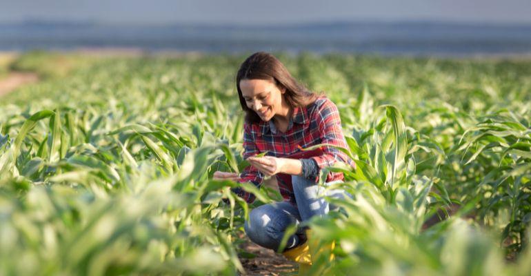 As mulheres transformam o agro em negócio