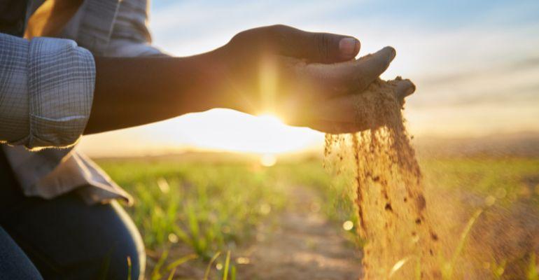 Segurança alimentar e o papel do Brasil