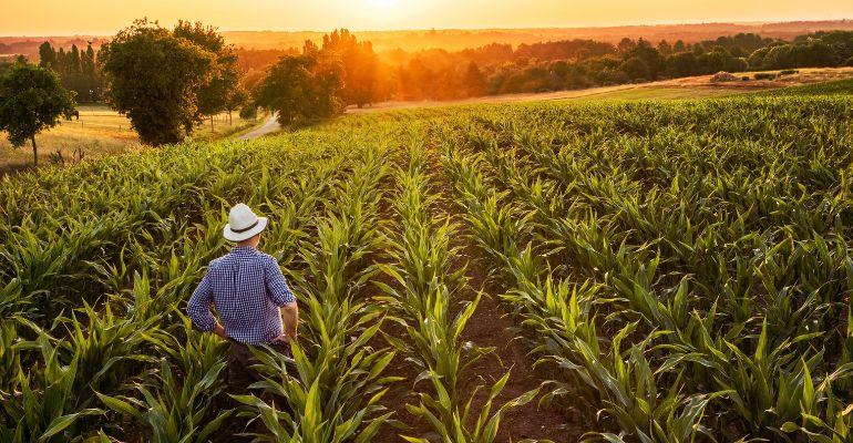 Agro superará desafios para crescer em 2023