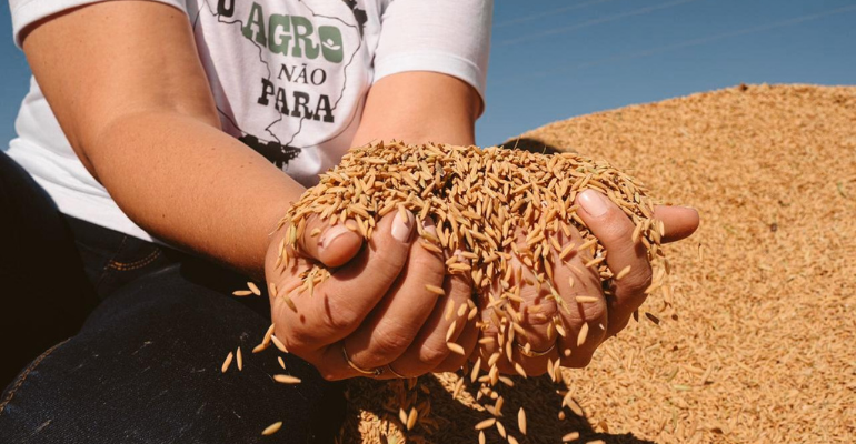 Tão antigo quanto a civilização, arroz alimenta mais da metade da população mundial.png