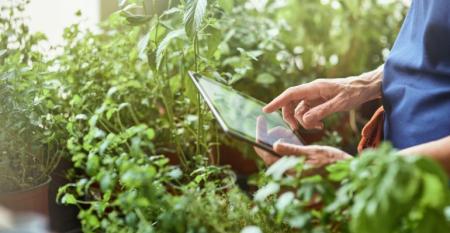 5 dicas para comprar produtos agrícolas pela internet